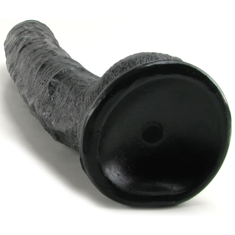 Dick Rambone 13 inch in Black